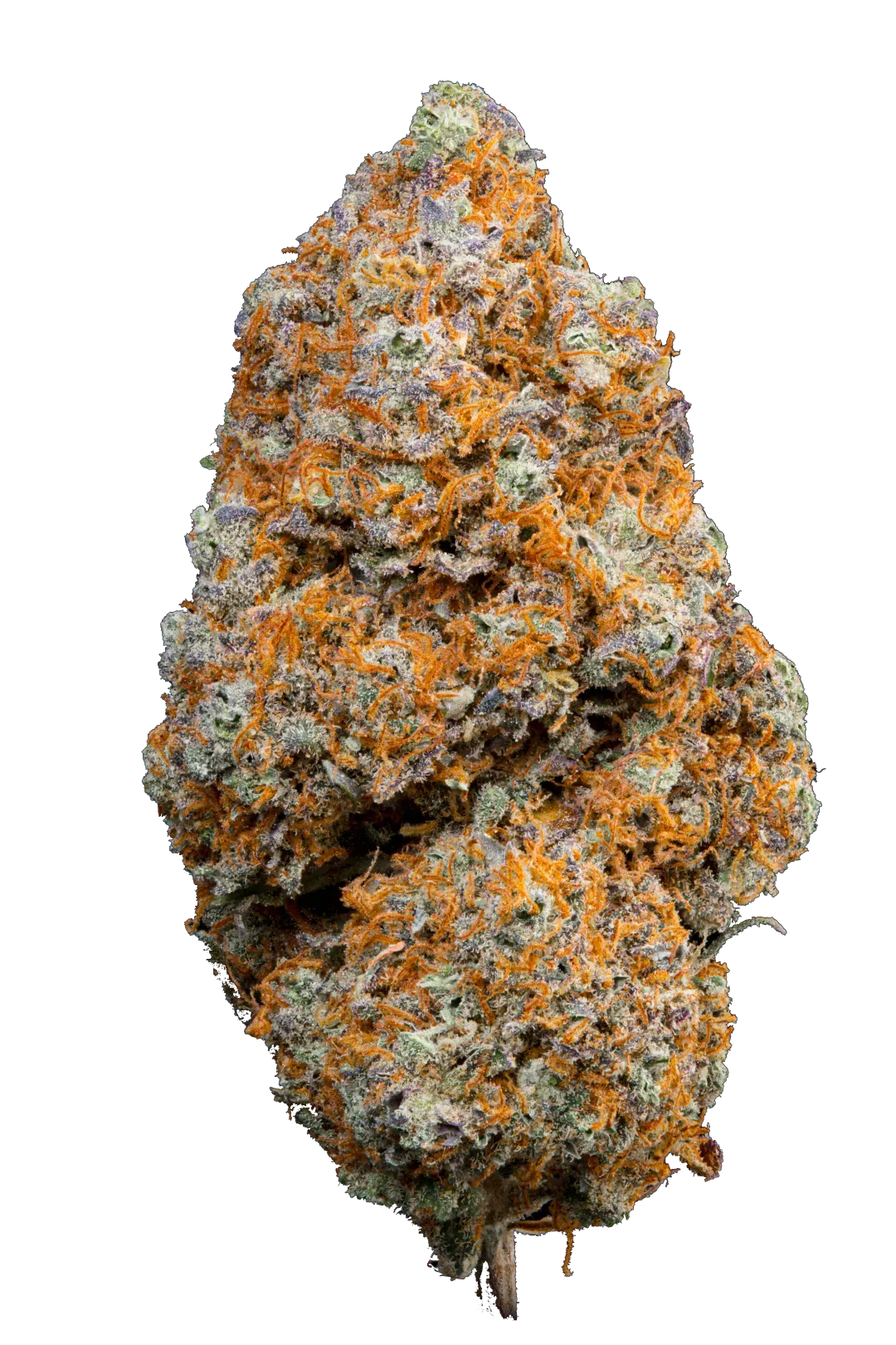 Raspberry Cbd - Cannabis Light - Indoor Top Quality - Novità