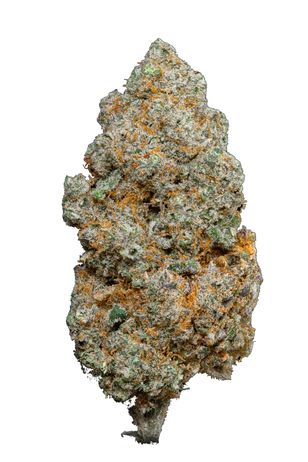 Cannabis Light - Lemon Pop Cbd - Indoor Top Quality - Novità