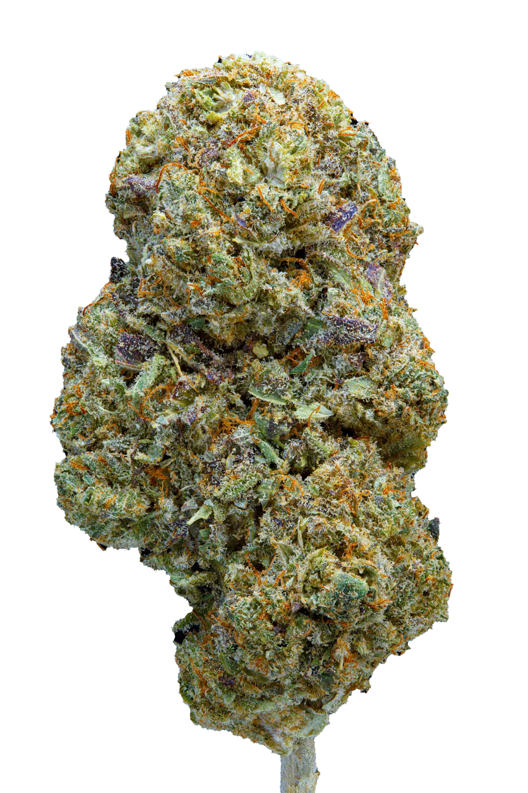 Tropical Cobbler - Cannabis Light - Cbd - Indoor Top Quality